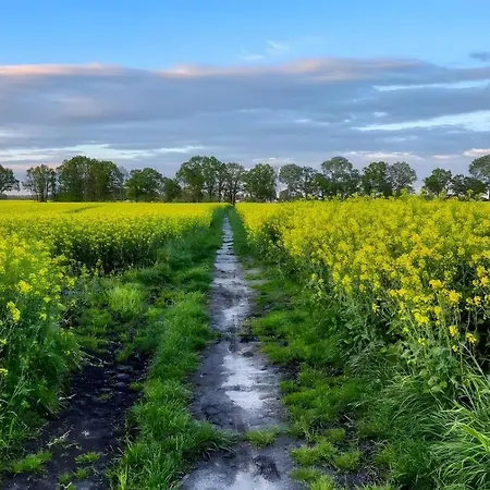 Lejlighed Idyllischer Natur-urlaub Mit Alpakas In Schmatzin