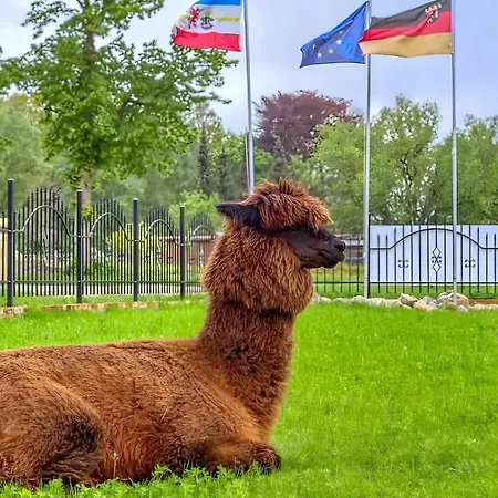 Idyllischer Natur-urlaub Mit Alpakas In Lejlighed Schmatzin