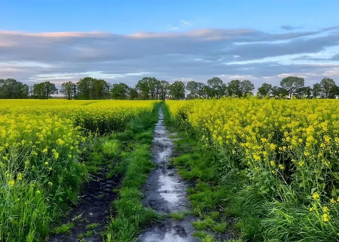 Apartamento Idyllischer Natur-urlaub Mit Alpakas In Schmatzin