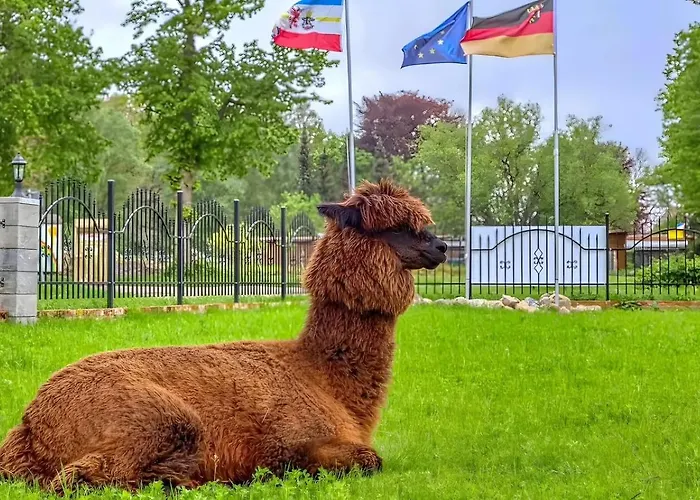 Idyllischer Natur-urlaub Mit Alpakas In Apartamento Schmatzin